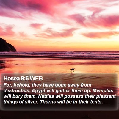 Hosea 9:6 WEB Bible Verse Image