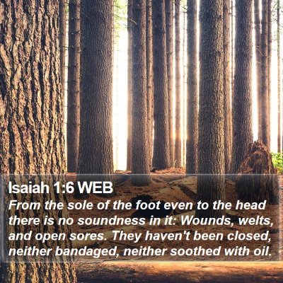 Isaiah 1:6 WEB Bible Verse Image