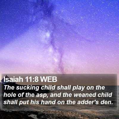 Isaiah 11:8 WEB Bible Verse Image