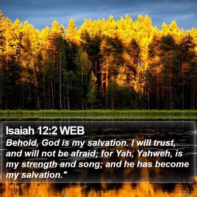 Isaiah 12:2 WEB Bible Verse Image
