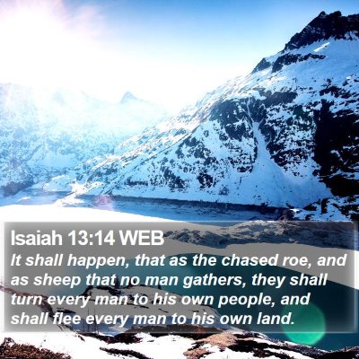 Isaiah 13:14 WEB Bible Verse Image