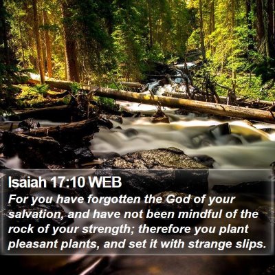 Isaiah 17:10 WEB Bible Verse Image