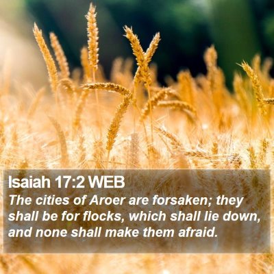 Isaiah 17:2 WEB Bible Verse Image