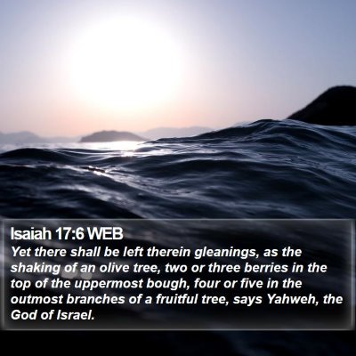 Isaiah 17:6 WEB Bible Verse Image