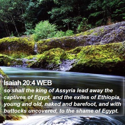 Isaiah 20:4 WEB Bible Verse Image