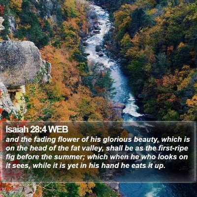 Isaiah 28:4 WEB Bible Verse Image