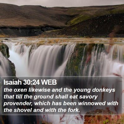 Isaiah 30:24 WEB Bible Verse Image