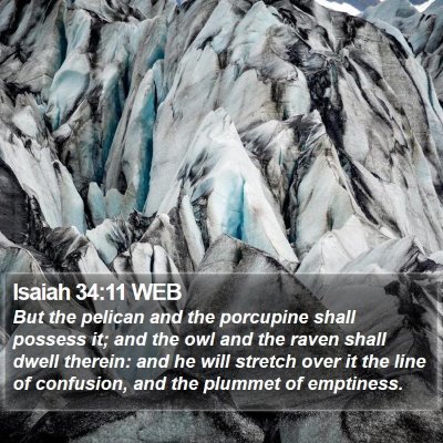 Isaiah 34:11 WEB Bible Verse Image