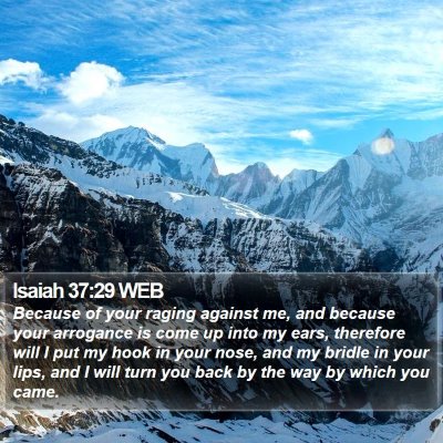 Isaiah 37:29 WEB Bible Verse Image