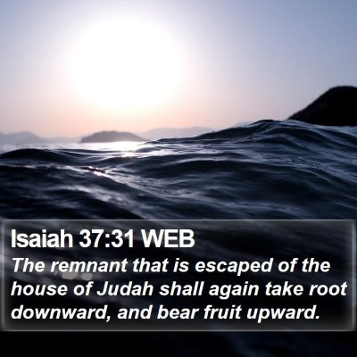 Isaiah 37:31 WEB Bible Verse Image