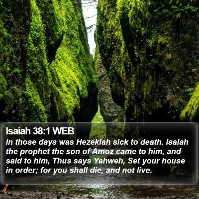 Isaiah 38:1 WEB Bible Verse Image