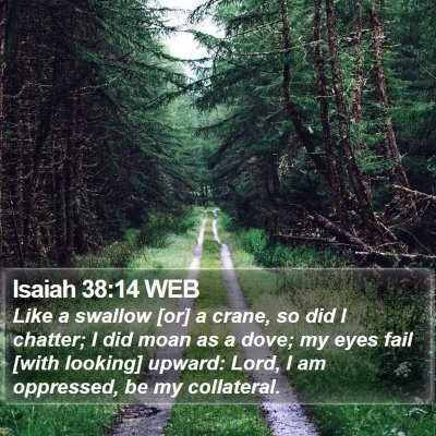 Isaiah 38:14 WEB Bible Verse Image
