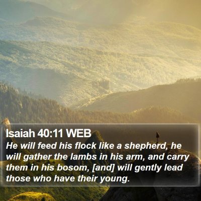 Isaiah 40:11 WEB Bible Verse Image