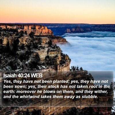 Isaiah 40:24 WEB Bible Verse Image