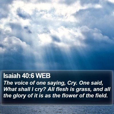 Isaiah 40:6 WEB Bible Verse Image
