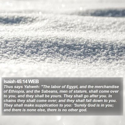 Isaiah 45:14 WEB Bible Verse Image