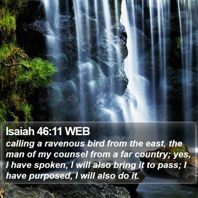 Isaiah 46:11 WEB Bible Verse Image