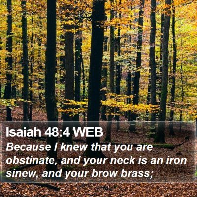 Isaiah 48:4 WEB Bible Verse Image