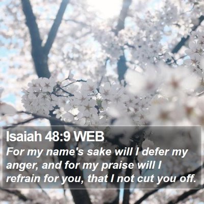 Isaiah 48:9 WEB Bible Verse Image