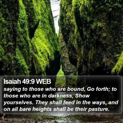 Isaiah 49:9 WEB Bible Verse Image
