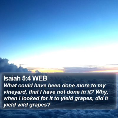 Isaiah 5:4 WEB Bible Verse Image