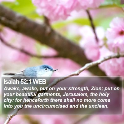 Isaiah 52:1 WEB Bible Verse Image
