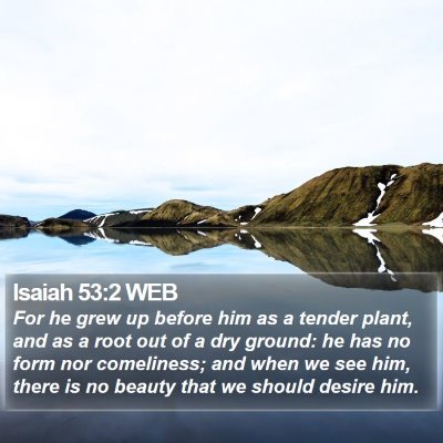 Isaiah 53:2 WEB Bible Verse Image