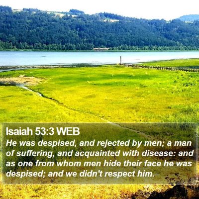 Isaiah 53:3 WEB Bible Verse Image