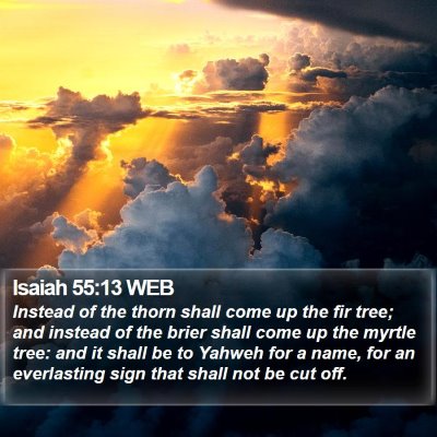 Isaiah 55:13 WEB Bible Verse Image