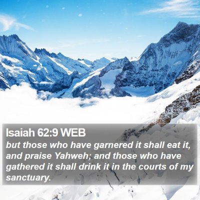 Isaiah 62:9 WEB Bible Verse Image