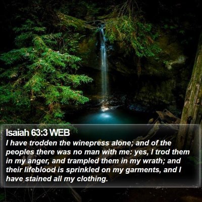 Isaiah 63:3 WEB Bible Verse Image
