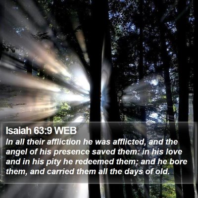 Isaiah 63:9 WEB Bible Verse Image