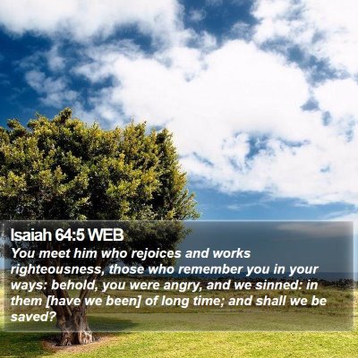 Isaiah 64:5 WEB Bible Verse Image