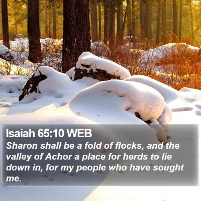 Isaiah 65:10 WEB Bible Verse Image