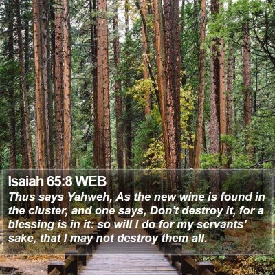 Isaiah 65:8 WEB Bible Verse Image