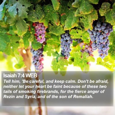 Isaiah 7:4 WEB Bible Verse Image