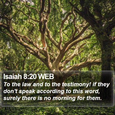 Isaiah 8:20 WEB Bible Verse Image