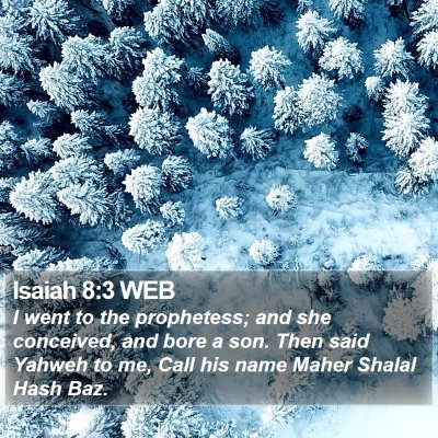 Isaiah 8:3 WEB Bible Verse Image