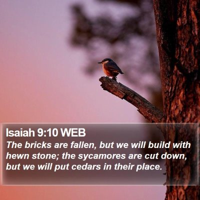 Isaiah 9:10 WEB Bible Verse Image