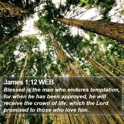 James 1:12 WEB Bible Verse Image