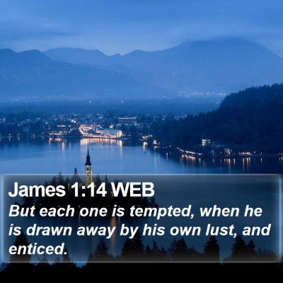 James 1:14 WEB Bible Verse Image