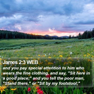 James 2:3 WEB Bible Verse Image