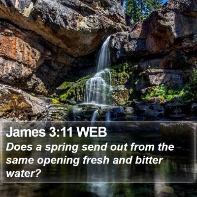 James 3:11 WEB Bible Verse Image