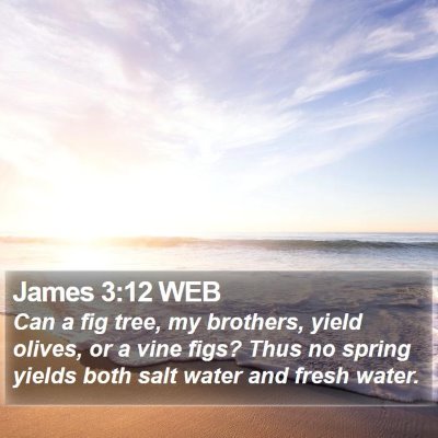 James 3:12 WEB Bible Verse Image