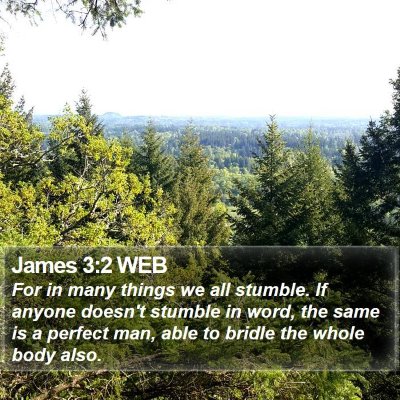 James 3:2 WEB Bible Verse Image