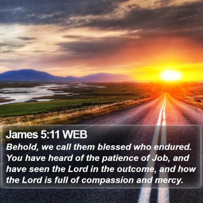 James 5:11 WEB Bible Verse Image