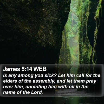 James 5:14 WEB Bible Verse Image