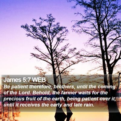 James 5:7 WEB Bible Verse Image