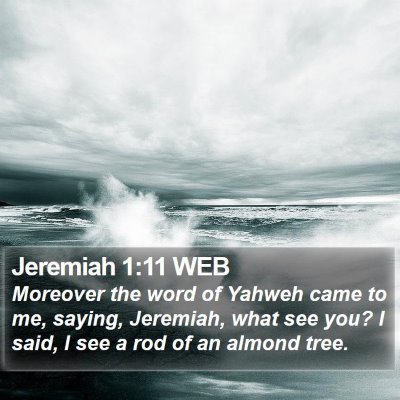 Jeremiah 1:11 WEB Bible Verse Image