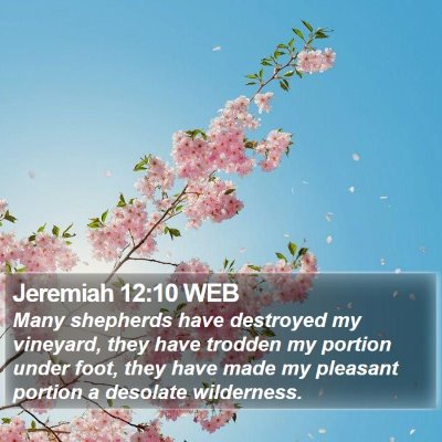 Jeremiah 12:10 WEB Bible Verse Image